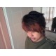 รูปภาพของ ชะอม