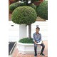 รูปภาพของ Mixzerz