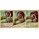 รูปภาพของ minisize