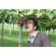 รูปภาพของ ชาติ รูปที 4