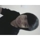 รูปภาพของ nut..nut