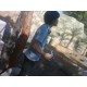 รูปภาพของ jenga111