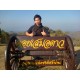 รูปภาพของ บ่าวเหนือ