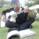 รูปภาพของ กาอาระ