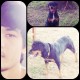 รูปภาพของ song12 รูปที 2