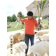 รูปภาพของ s_za