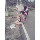 รูปภาพของ moonew