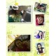 รูปภาพของ NuDaO รูปที 6