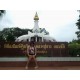 รูปภาพของ Ibra