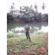 รูปภาพของ Crazyarm