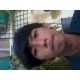 รูปภาพของ New