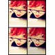 รูปภาพของ PPchubby รูปที 4