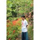 รูปภาพของ my sunday