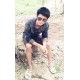 berr