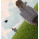 รูปภาพของ tao2009