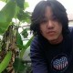 วันวาน