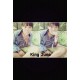 รูปภาพของ King June