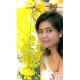 รูปภาพของ MOOKMOOK