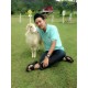 รูปภาพของ @B