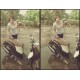 MineMoss