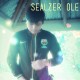 sealzer