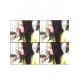 รูปภาพของ จุ๊บๆ รูปที 2
