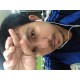รูปภาพของ เกมส์chon
