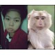 รูปภาพของ MonkeyTom รูปที 4