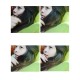 รูปภาพของ ปริ๊นจิ