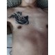 รูปภาพของ CMLUCIFER