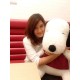 รูปภาพของ Na