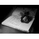 รูปภาพของ Blackrose รูปที 3