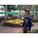 รูปภาพของ Aleik รูปที 2