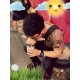 รูปภาพของ Aventasia รูปที 6