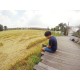 รูปภาพของ TOPP
