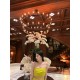 รูปภาพของ Fern รูปที 2
