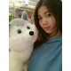 รูปภาพของ hnoy