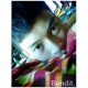 รูปภาพของ Bandid