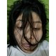 รูปภาพของ PINNN