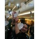 รูปภาพของ keej รูปที 1