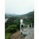 kingkim