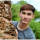รูปภาพของ mylove