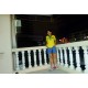 รูปภาพของ Sir รูปที 1