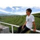 รูปภาพของ Tippy