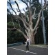 รูปภาพของ bbty