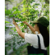 รูปภาพของ Donlaya