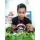 รูปภาพของ Vit