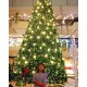 รูปภาพของ pumisiri
