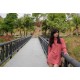 รูปภาพของ Ammy