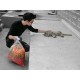 รูปภาพของ Tonn